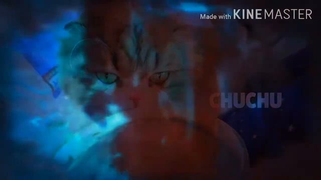 Рубрика #жИзА Коты в космосе смотреть онлайн