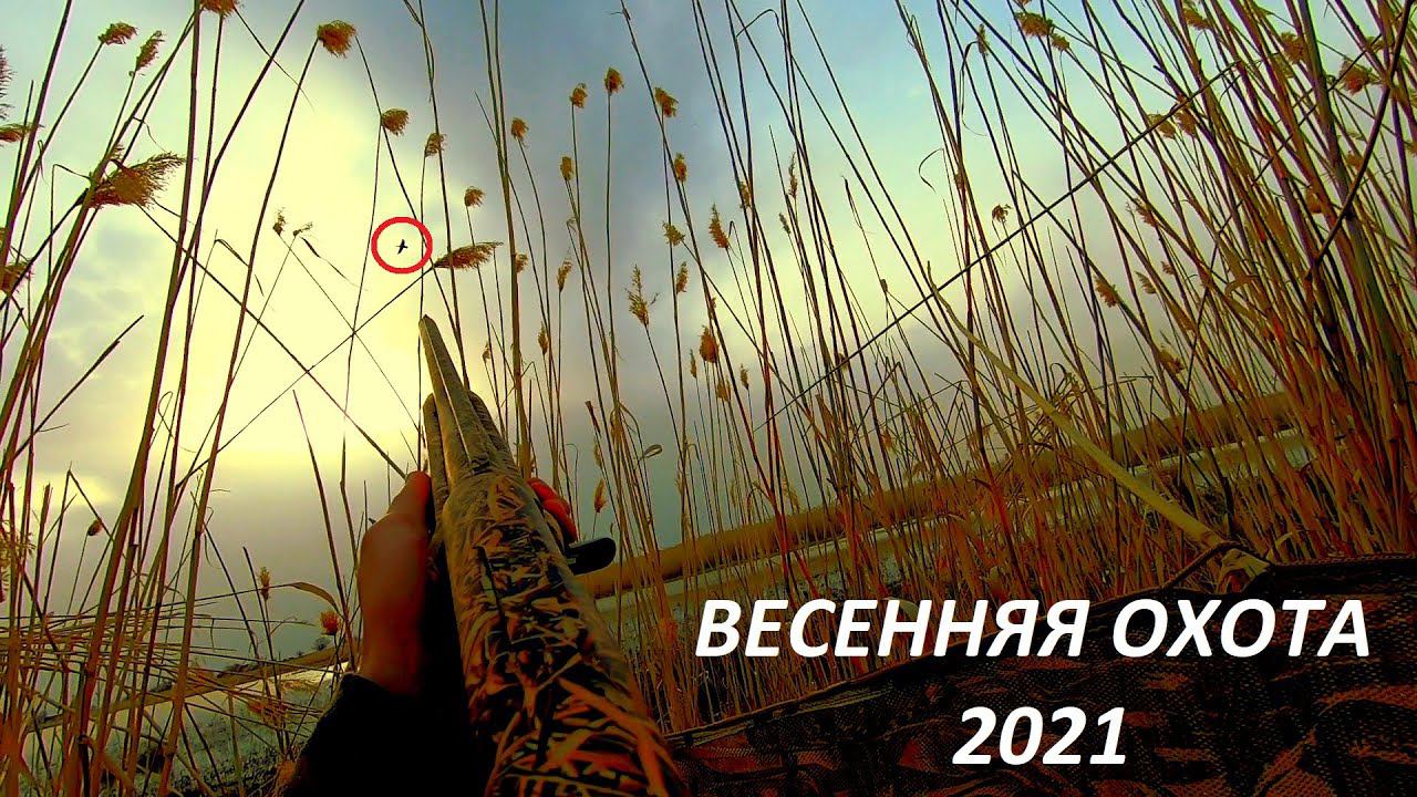 ВЕСЕННЯ ОХОТА 2021!!! ПРАВИЛЬНОЕ МЕСТО - ЗАЛОГ УСПЕХА!!! / MAX HUNTER смотреть онлайн