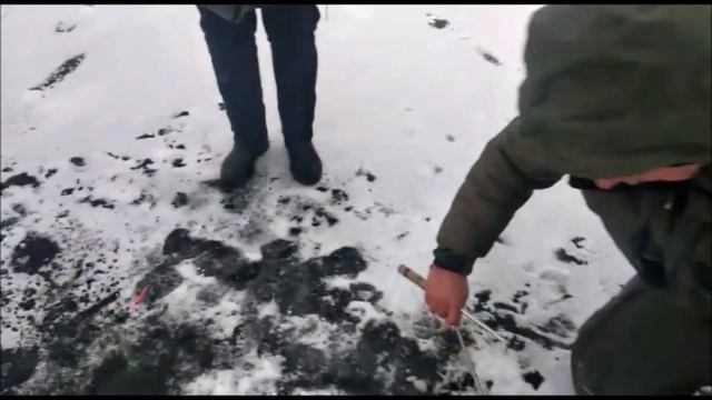 Клевое место д. Савельево.Форель продолжает радовать рыбаков поклевками,поимки продолжаются!!! смотреть онлайн