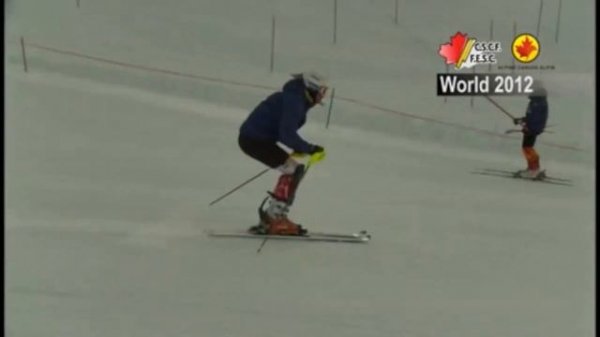 WORLD CUP SKI RACERS FREE SKIING 10