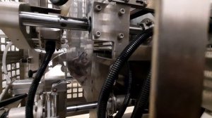 Рыба вакуумный Пакет Сигнал-Пак