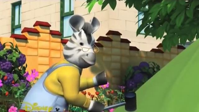 02  Поход на задний двор зебра зу