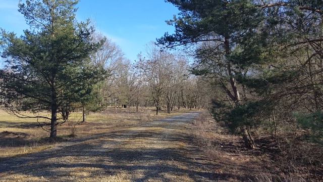 ГСВГ. От Стеллы "Ютербог2" (КПП2 в/ч47280) к танковой и БМП директрисe ЮУЦ 25.02.2024 смотреть онлайн