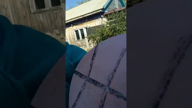 7 сентября 2021 г. смотреть онлайн