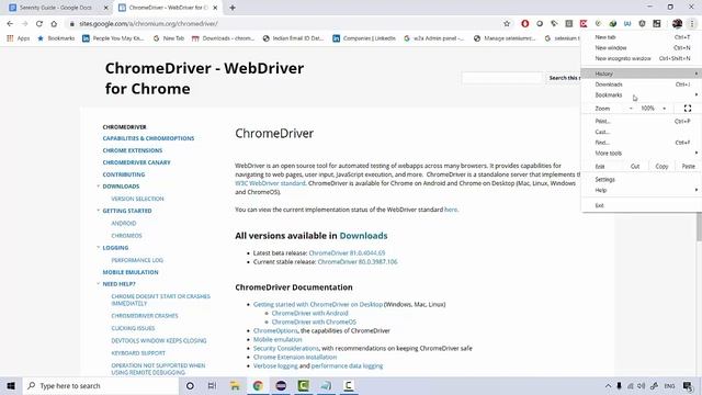 Serenity BDD Framework Lecture 3 Configuring Browsers and Serenity properties file смотреть онлайн