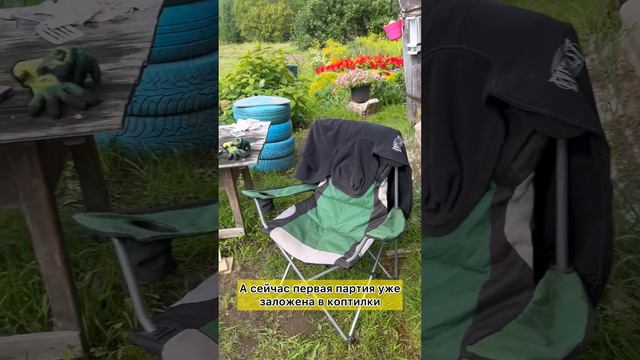 Готовим карпа смотреть онлайн