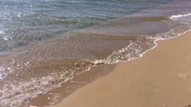 16 сентября 2019 г. 15:00 Анапа - Витязево - Чёрное море, коса , дикий пляж. смотреть онлайн