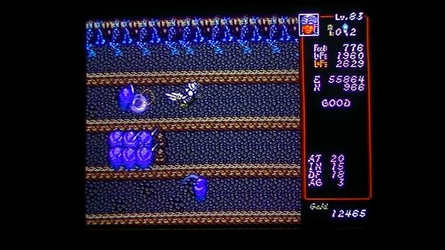 Dungeon Explorer (SegaCD) Mountain lv.5 walkthrough смотреть онлайн