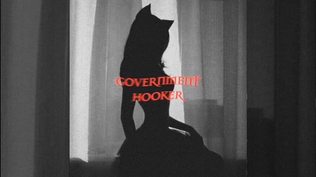 Government Hooker