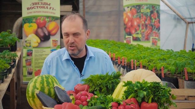 Битва теплиц. Сезон 2. Выпуск 2. Теплица Кремлевская. Новые Формы - производитель смотреть онлайн