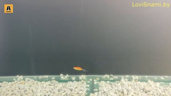 Балансир для отвесной ловли AKARA Tensai (обзор эксперта)