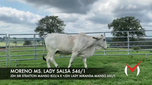 Moreno Ranches Catalyst VIII Production Sale - Official Welcome смотреть онлайн