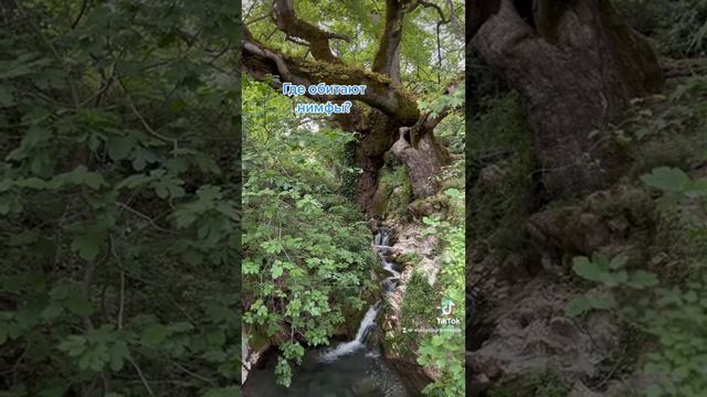 Где обитают нимфы и дриады? смотреть онлайн