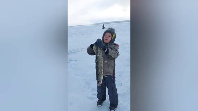 Зимняя рыбалка в Забайкалье смотреть онлайн