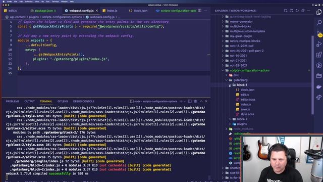 Customizing your @wordpress/scripts build process | WordPress Tutorial | Custom Block Development смотреть онлайн