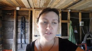 ЦЕНА САРАЯ ДЛЯ КОЗ. ЧТО НАДО ЗНАТЬ,ЕСЛИ ВЫ РЕШИЛИ ПОСТРОИТЬ КОЗЛЯТНИК.