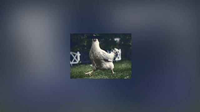 Chicken Dance Song [Slowed + Reverb]