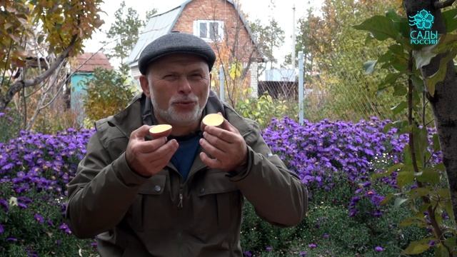 Картофель Утро раннее смотреть онлайн