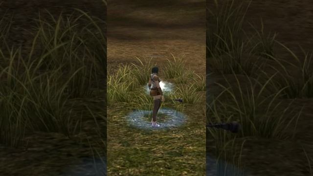 Все с этого начинают. #lineage #la2 #lineage2 #mmorpg #lineage2stream #l2 #линейдж #линейка смотреть онлайн