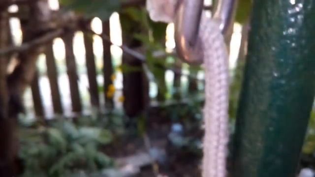 Как сделать крепкую веревку из пластиковой бутылки - How to make rope from plastic bottles diy смотреть онлайн