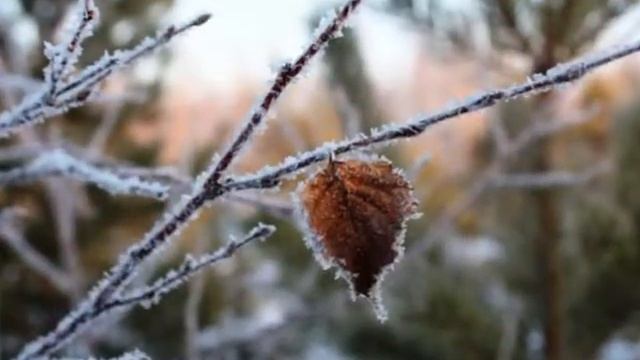 зимнее смотреть онлайн