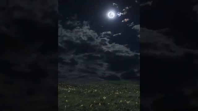 Спокойной ночи ? Приятных снов ??? смотреть онлайн
