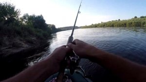 И СНОВА СУМАСШЕДШИЙ ЖОР У ЩУКИ!!! Ito Shiner от BearKing, или реальный воблер  для ловли ЩУКИ.