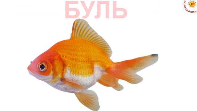 КАК ГОВОРЯТ ДОМАШНИЕ ЖИВОТНЫЕ. Развивающие видео для ДЕТЕЙ по карточкам ДОМАНА смотреть онлайн