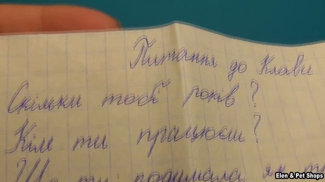 LPS: Посылка от канала Ann my friends смотреть онлайн