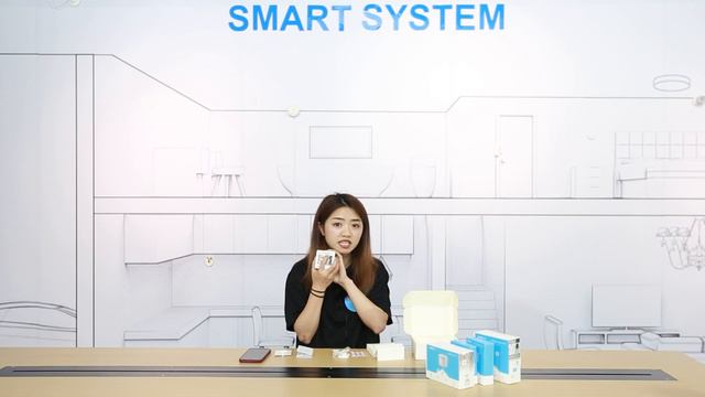 YOURLITE Intelligent Wifi Zigbee Tuya Home Smart Security Systems смотреть онлайн