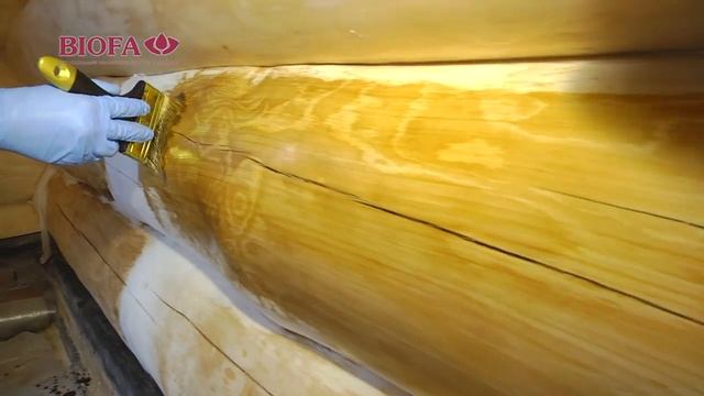 Как правильно наносить масла и краски Biofa