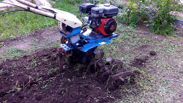 скосил траву вика яра посадили капустуи перец смотреть онлайн