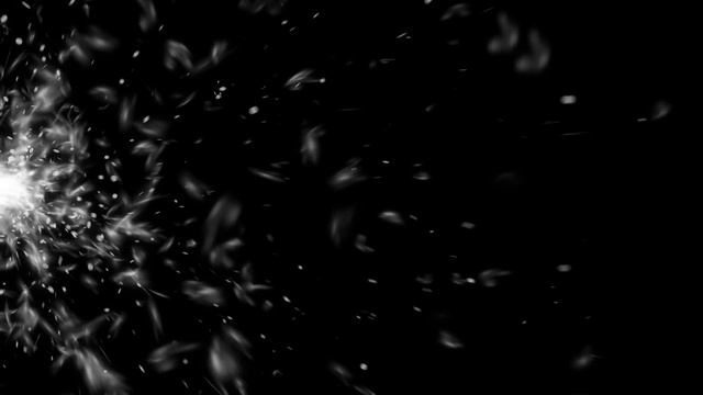 Feathers Spread - 4K Organic MATTE TITLE Effect for Trailers #AAVFX смотреть онлайн
