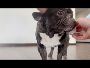 Олега нашли благодаря последнему видео новые зрители | Опять старые вопросы посыпались