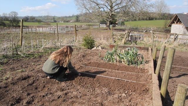 How to plant mangetout and sugar snap peas with Octavia Hopwood (Episode 3: On the Farm) смотреть онлайн