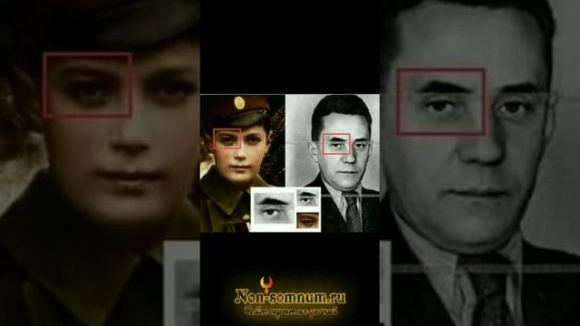 Только бараны довольны своей бараньей жизнью и не блеют на пастуха, который ведет их на убой