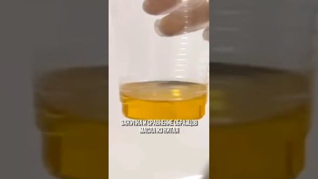 Необходимо заказать масло из Китая? Пишите в личные сообщения WA:+79153152967 Тг:@belousov_alexandr смотреть онлайн