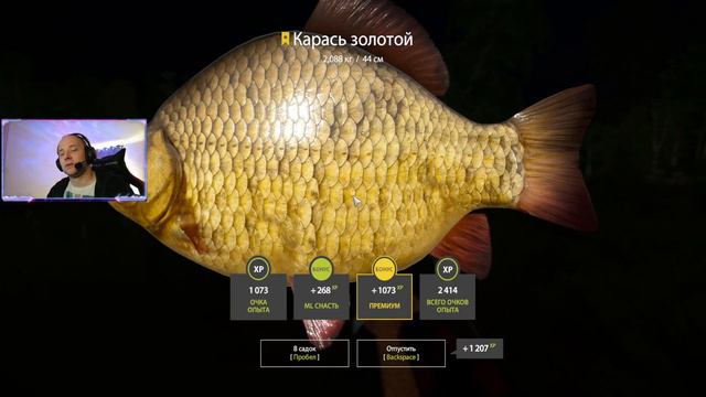 Трофей Карась золотой 2,088 кг / Trophy Crucian carp 2,088 kg смотреть онлайн