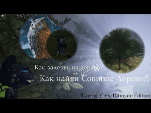 КАК НАЙТИ СОВИНОЕ ДЕРЕВО И ЗАЛЕЗТЬ НА НЕГО В WCUE? Roblox - Warrior Cats: Ultimate Edition