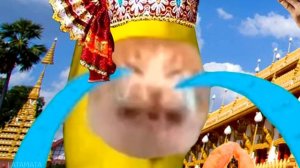 Banana Cat in 70 Languages Meme