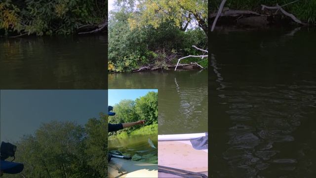 РЕКА СОК/САМАРСКАЯ ОБЛАСТЬ,КРАСНОЯРСКИЙ РАЙОН/ РЫБАЛКА НА РЕКЕ/ЛОВЛЯ ГОЛАВЛЯ/ЛОВЛЯ ПЛОТВЫ/ВИДЕО 2023 смотреть онлайн