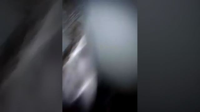 Летучая мышь в московской квартире 2 смотреть онлайн