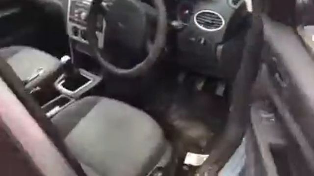 V9, Ford Focus 2005, 1.6 Zetec-S/Duratec HWDA 100 л.с., бензин, МКПП 5-ступеней смотреть онлайн