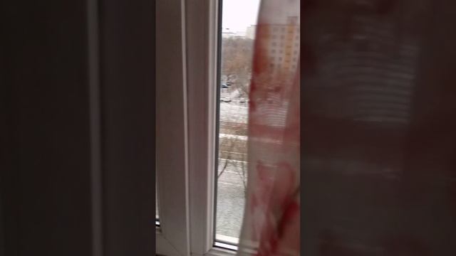 Что интересного за окном в Москве))).20.11.23