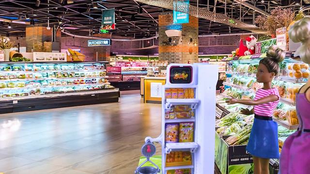 Barbie Shopping | Barbie Camping | Barbie Market