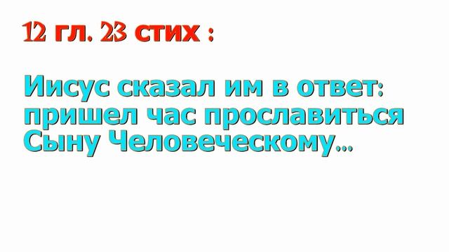15 МОЗГОВАЯ РАЗМИНКА смотреть онлайн