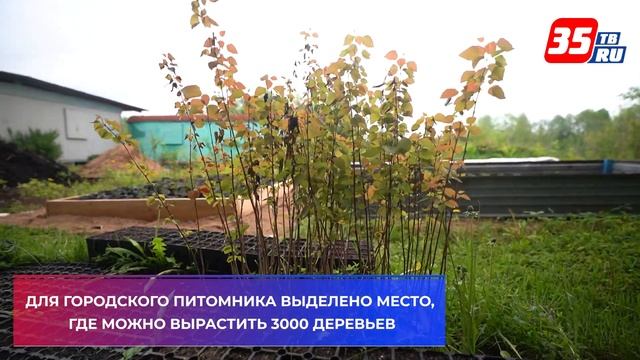 Деревья и кустарники для озеленения Вологды будут выращивать в дендросаду Вологодской ГМХА смотреть онлайн