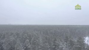 Стихи над миром. Валентин Гафт «Бабочка»,  Татьяна Кулакова «Счастливые люди не умирают...»