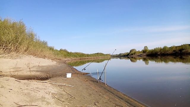 Рыбалка на утренней зорки. Фидер и донка. смотреть онлайн