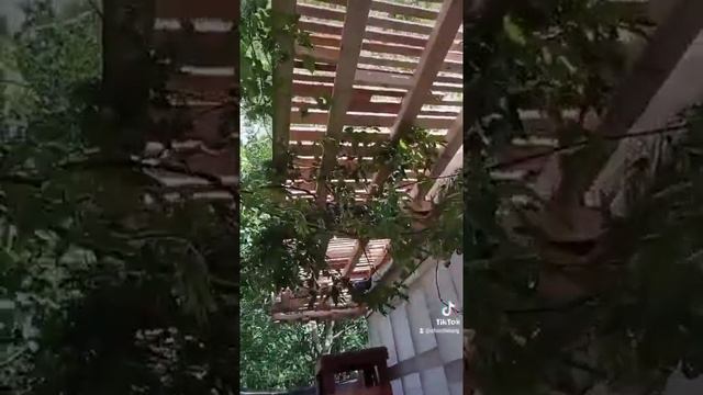 Навес деревянный